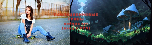 соль ск Осташков