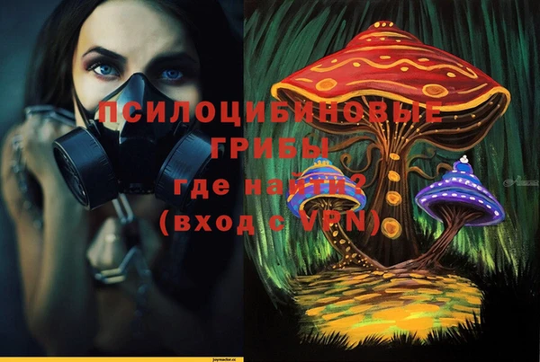шишки Осинники