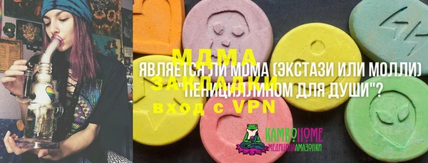 дживик Ветлуга
