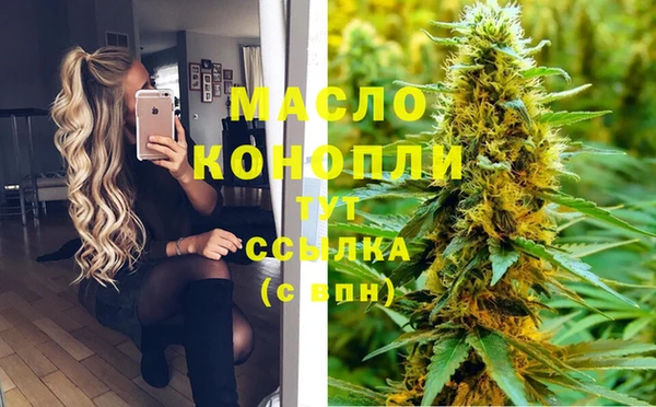шишки Осинники