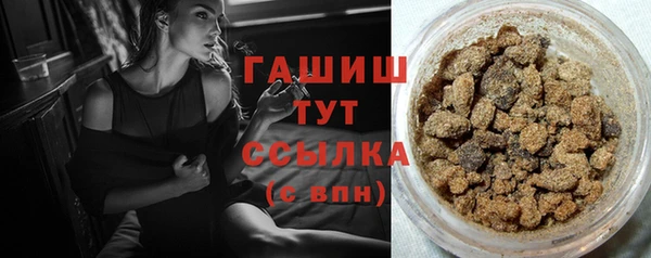 шишки Осинники
