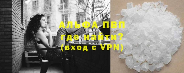 шишки Осинники