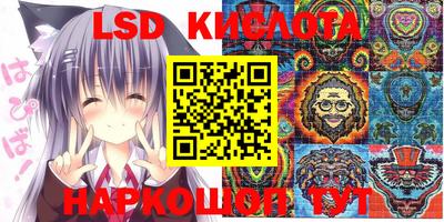 PSILOCYBIN Бугуруслан