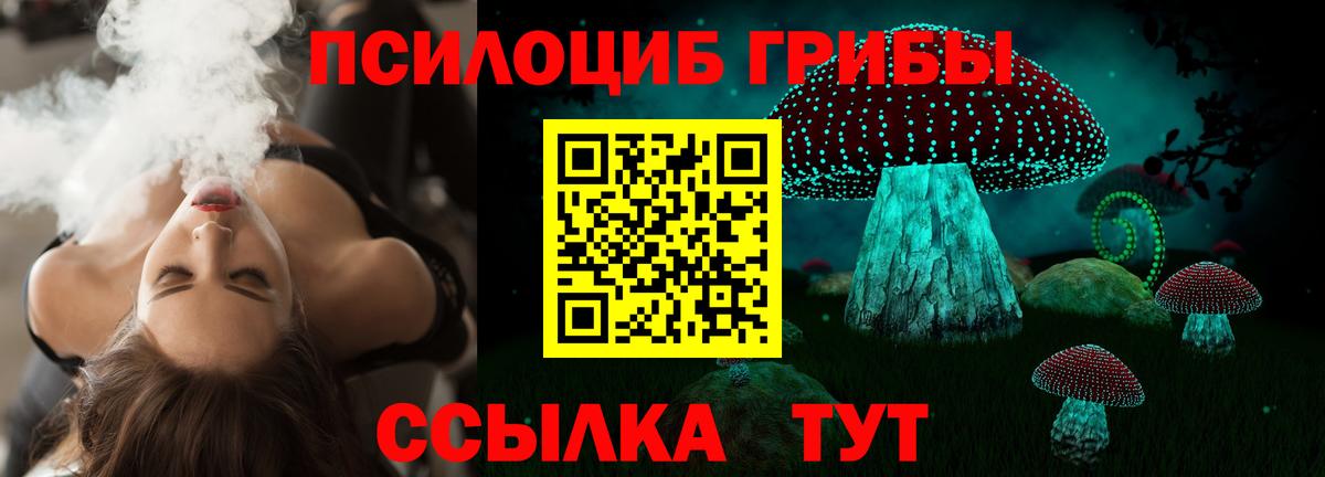 Галлюциногенные грибы GOLDEN TEACHER  Галлюциногенные грибы Magic Shrooms  Вход с VPN  Чусовой 