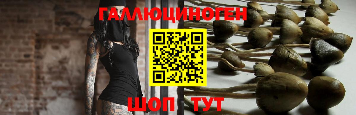 Псилоцибиновые грибы ЛСД  Галлюциногенные грибы мицелий  Чусовой 